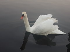 20181013_174843.jpg