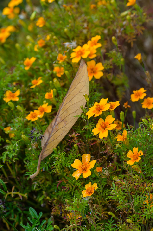 Jesienny kadr - mystic