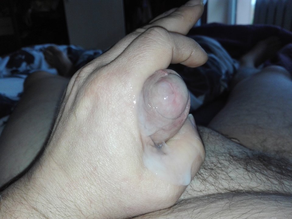 15400175830351294541981.jpg - tomcio31