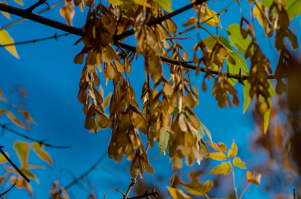 W kolorach jesieni - mystic