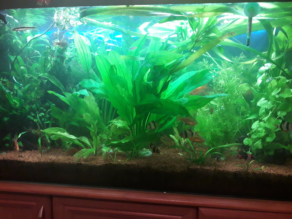 20181023_200928.jpg - Przemodkl79