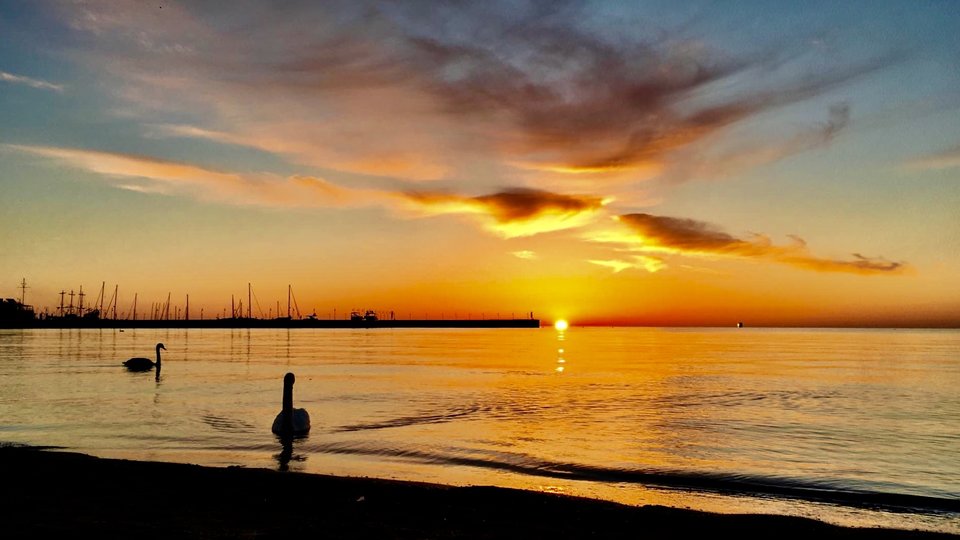 4EE45E93-2425-47FD-889E-20597448532B.jpeg - mlody807