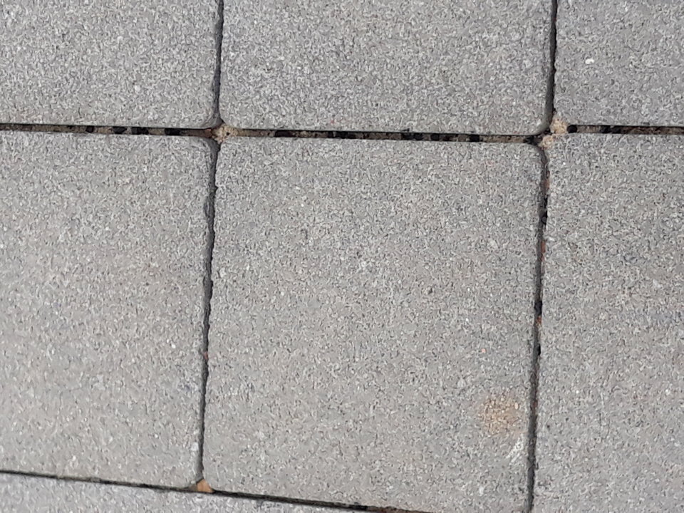 20181007_114252.jpg - DonHose81