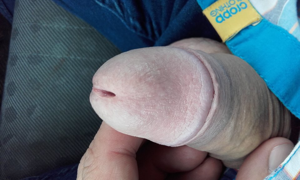 15404730372451132882145.jpg - Piotre6969