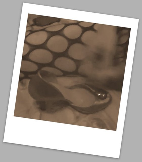 1-migawka_004.jpg - ADATRANS30