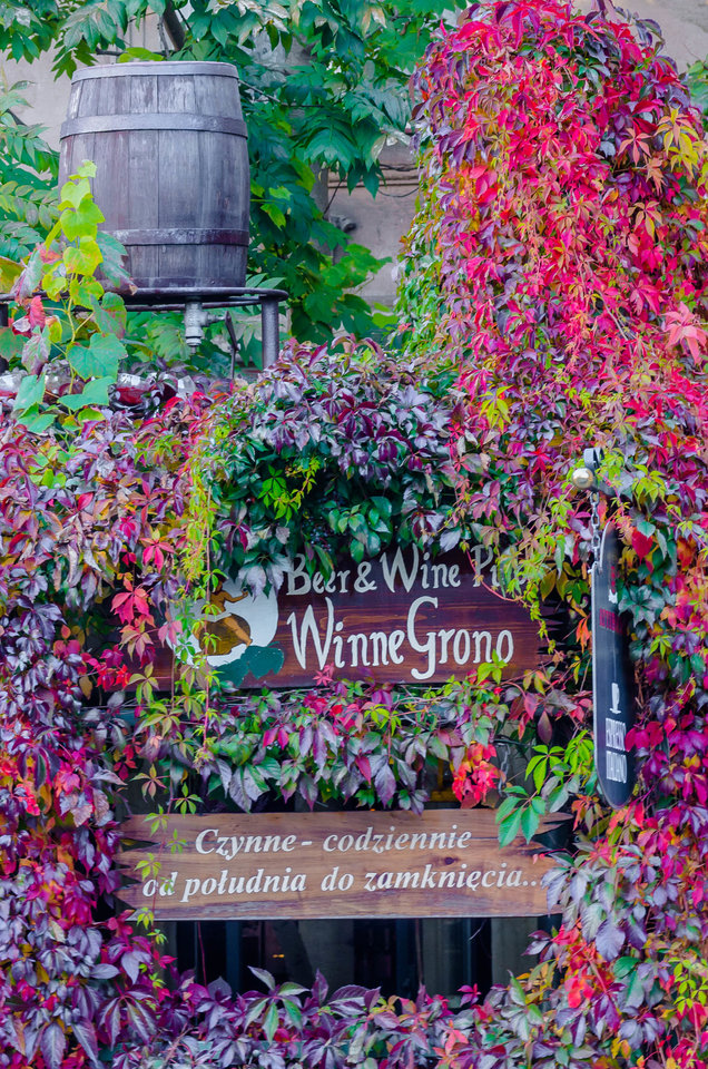 Przyczajona winiarnia i nie tylko ;) - mystic
