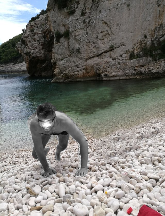 widmoo