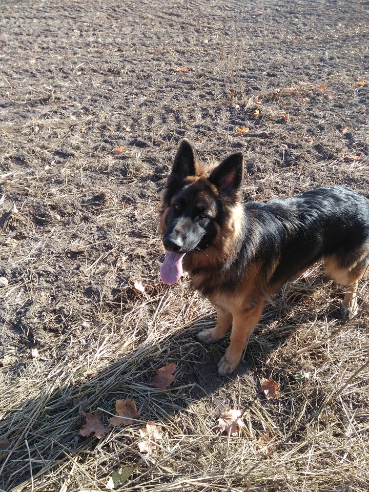 IMG_20181021_124107.jpg - tomii02