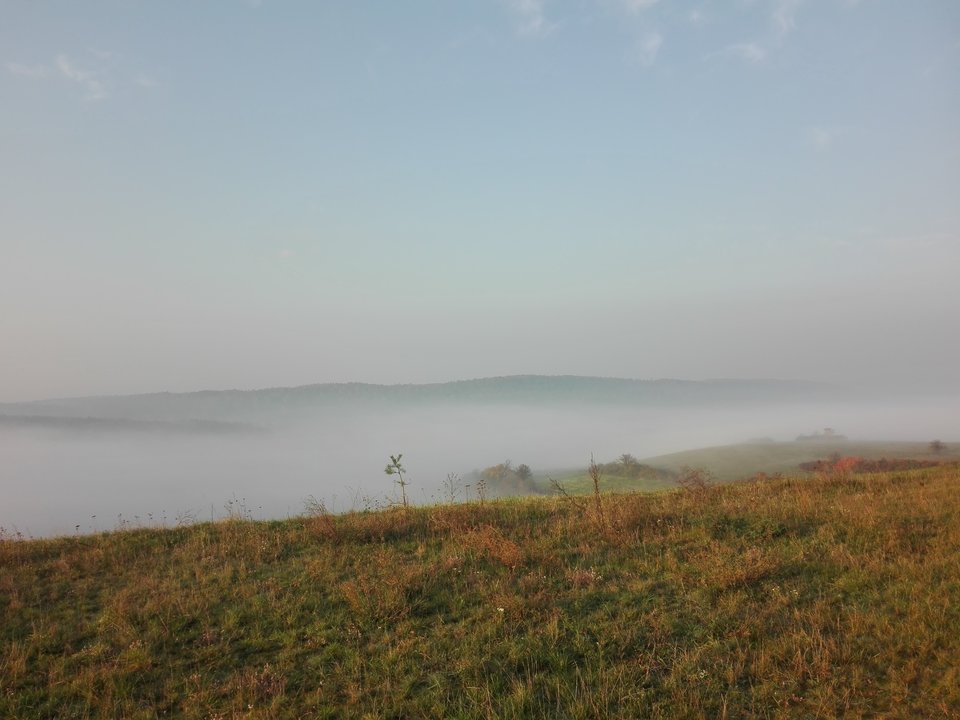 IMG_20171019_081304.jpg - ciekawskimaluch