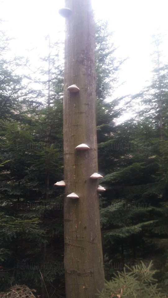 20181027_101244.jpg - ewawojtek8074