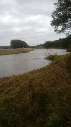 20181027_131231.jpg