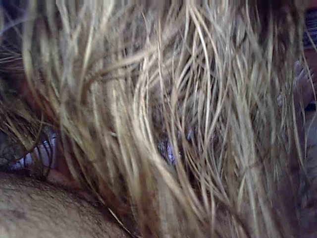 Zdjęcie1278.jpg - gwiazdy_