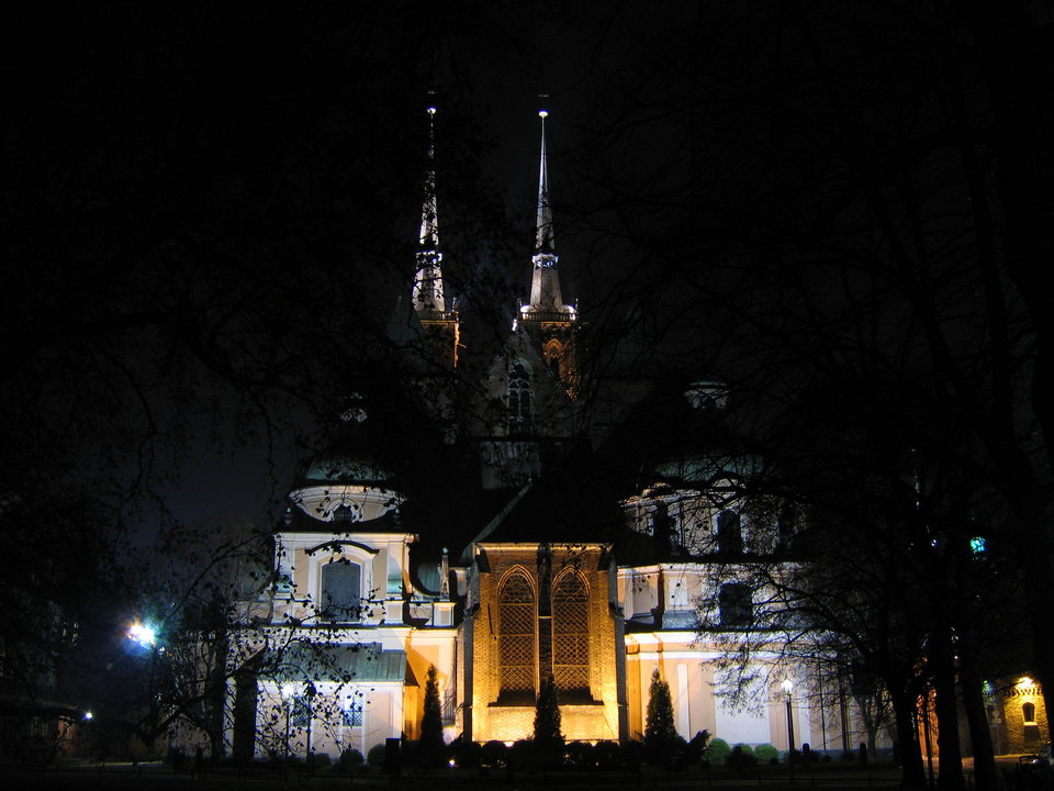 Ostrów Tumski - seaman