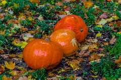 Kto chce dostać z dynki? ;))