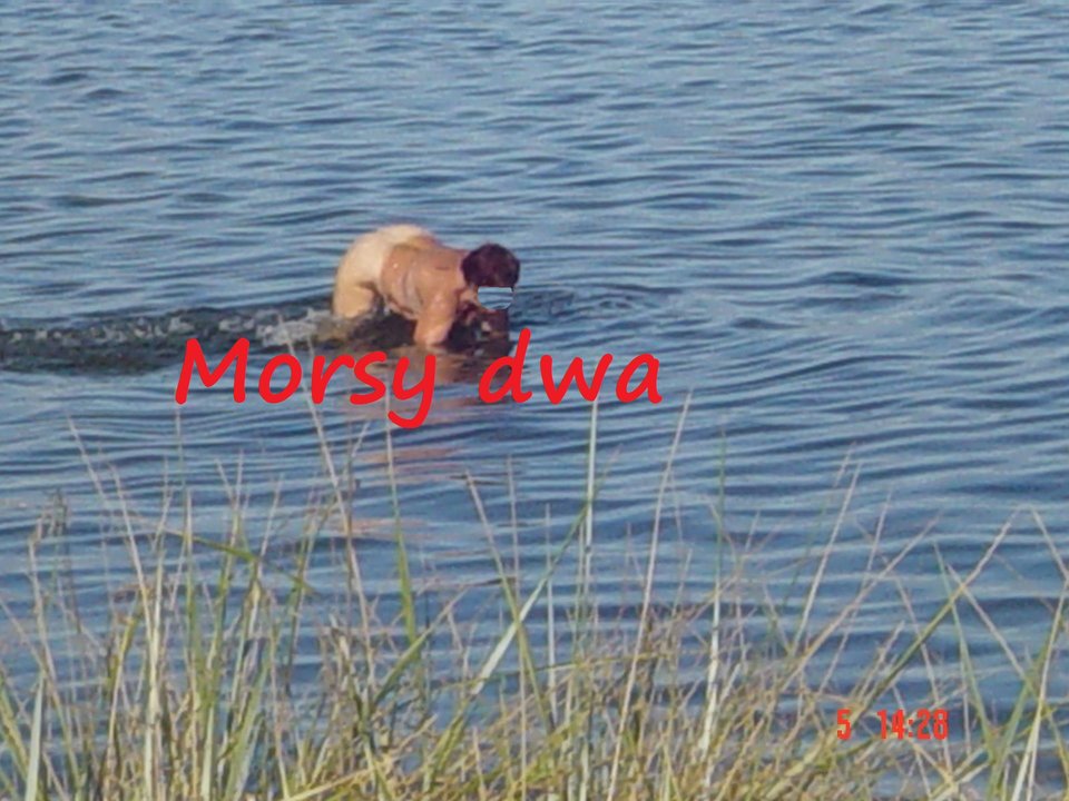 Beka 2005 - Morsy_dwa