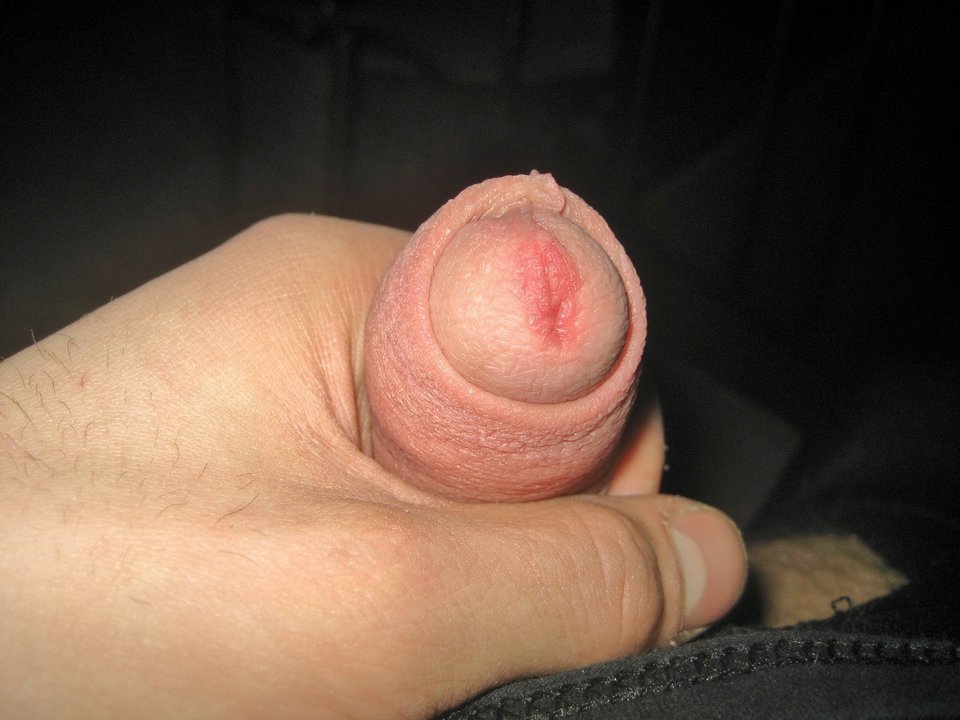 IMG_0044.JPG - Nalogowy_onanista