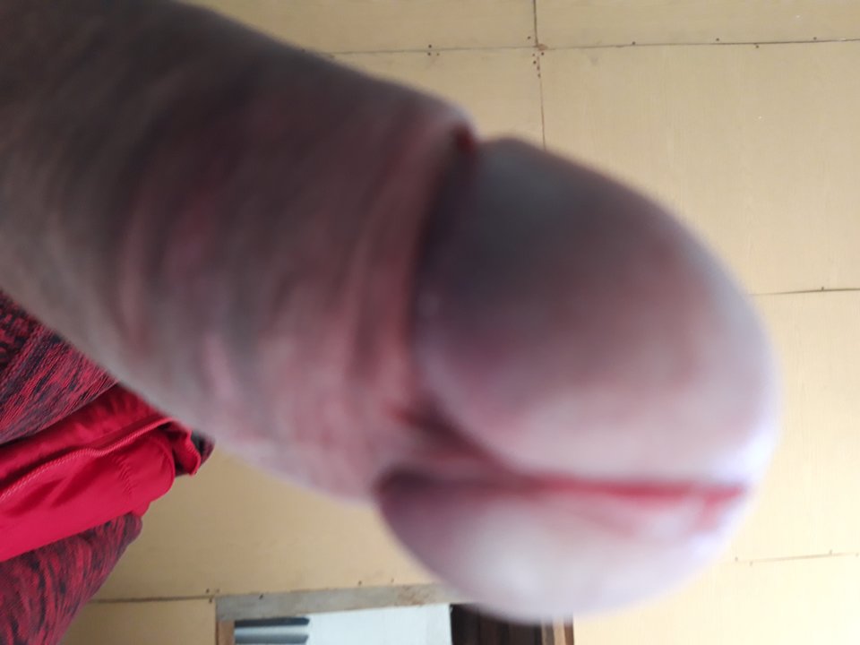 20181031_091825.jpg - Lolek2018