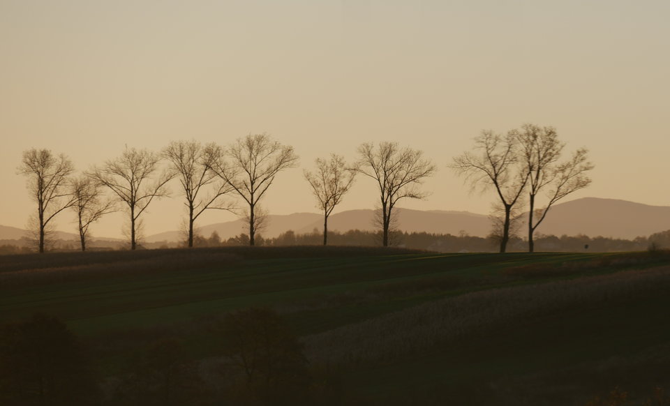 _1060336.JPG - FoKam431