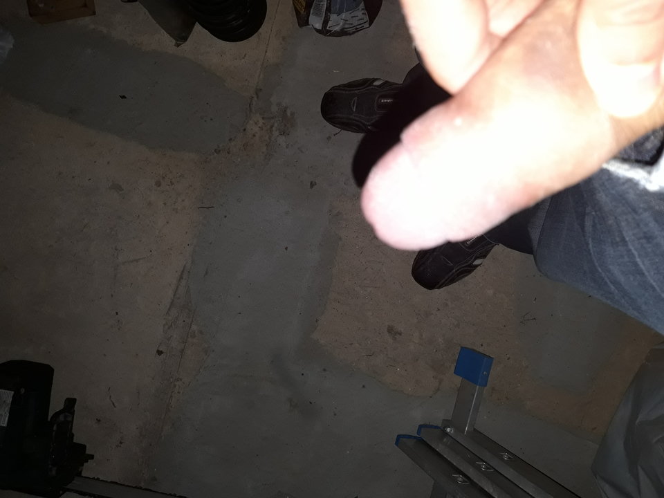 20181103_105906.jpg - Lolek2018