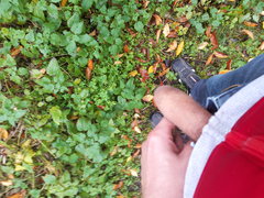 20181103_105745.jpg