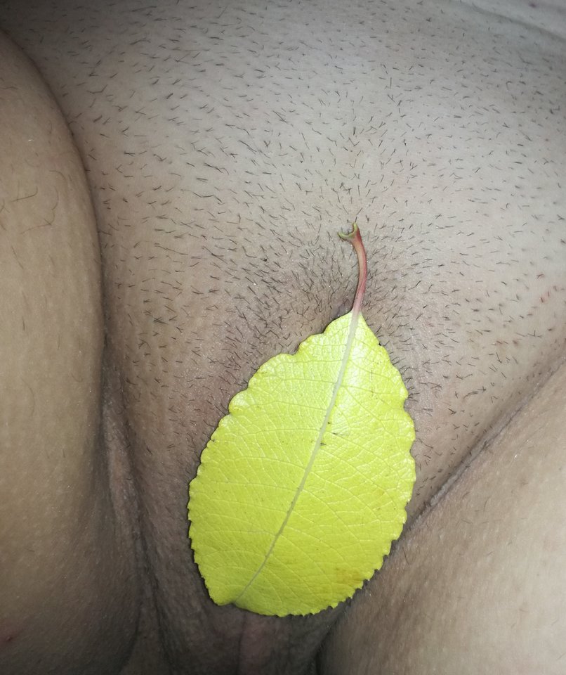 IMG_20181103_193558.jpg - para_wawa_