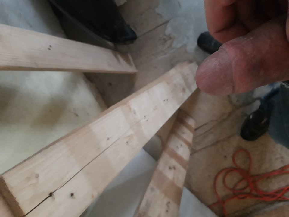 20181103_105922.jpg - Lolek2018