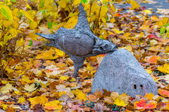 Wpłynęła na suchego przestwór oceanu