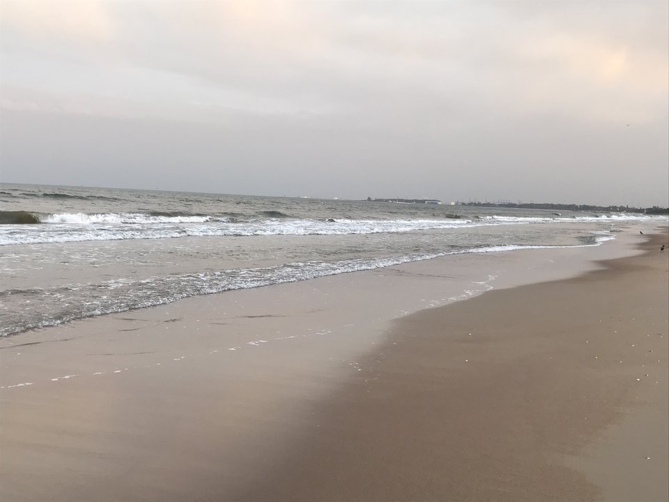 4B8B21A8-BEF0-477F-82AF-B022E535CF24.jpeg - pedro411