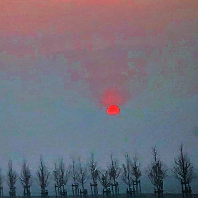 A7ADE256-C38E-45EF-876C-FDD6ACF671B0.jpeg - Mekagojiranogyakushu