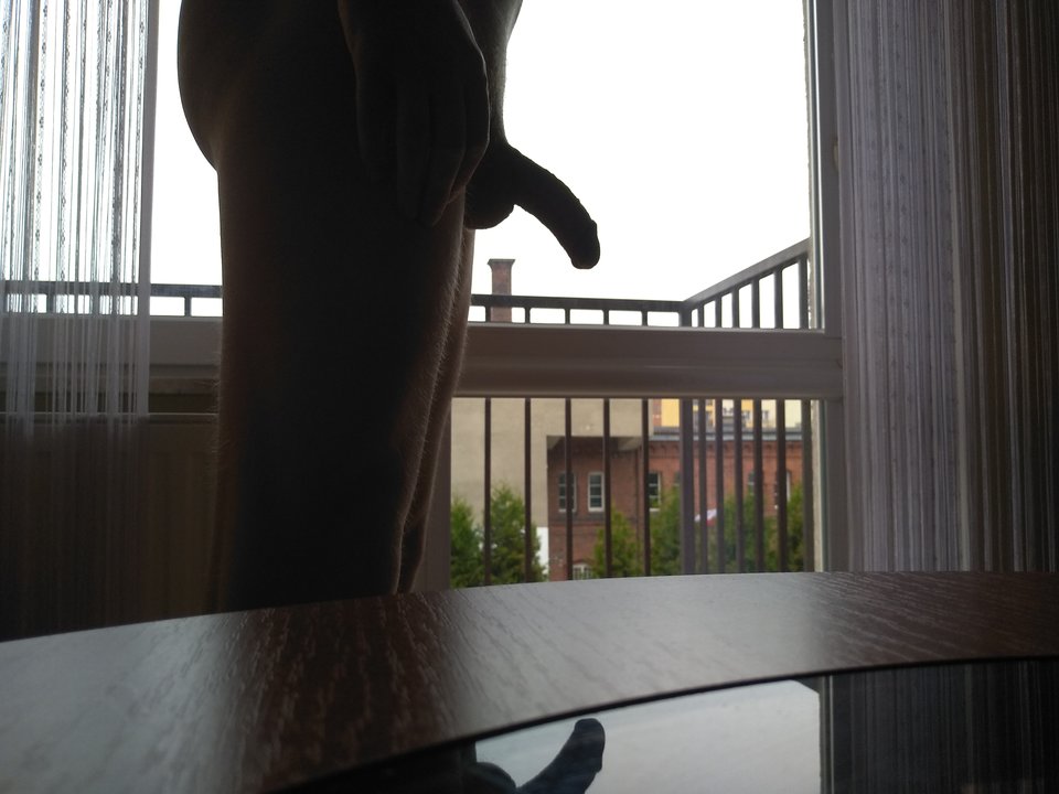 IMG_20181111_115636.jpg - turpe1