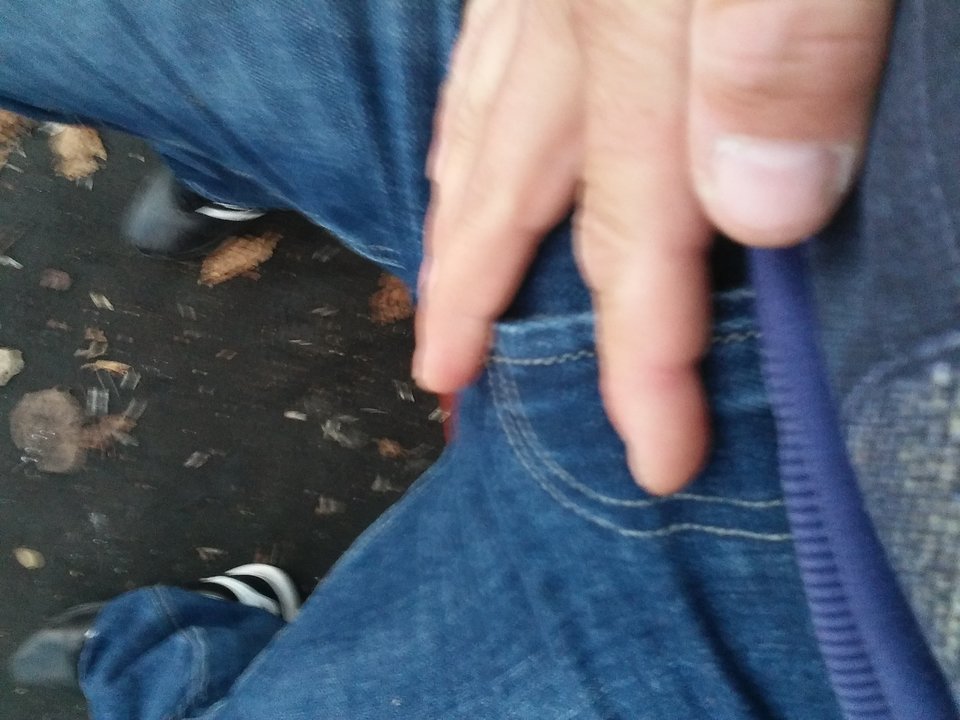 1541948920749-1009464268.jpg - Neptunpaw