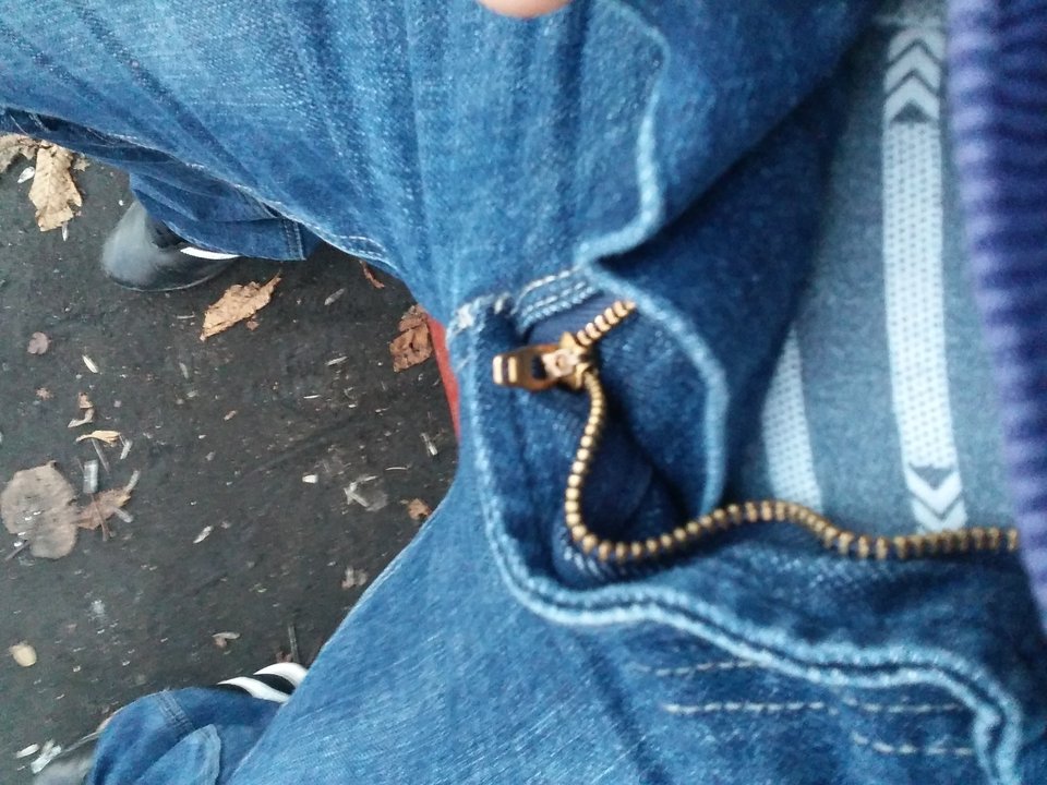 1541948959461-1039225241.jpg - Neptunpaw