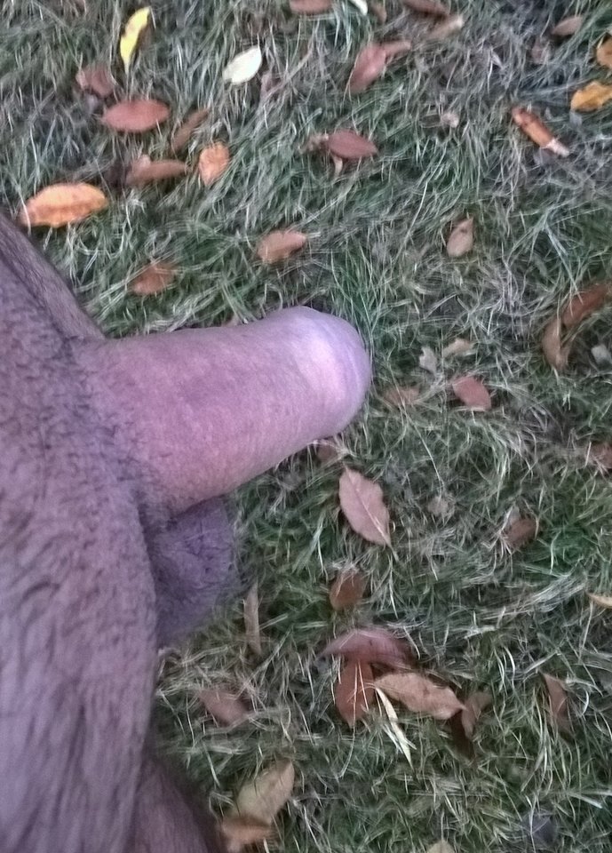 WP_20181111_16_02_59_Pro.jpg - marques