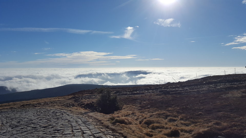 20181112_121502.jpg - olodlnsx