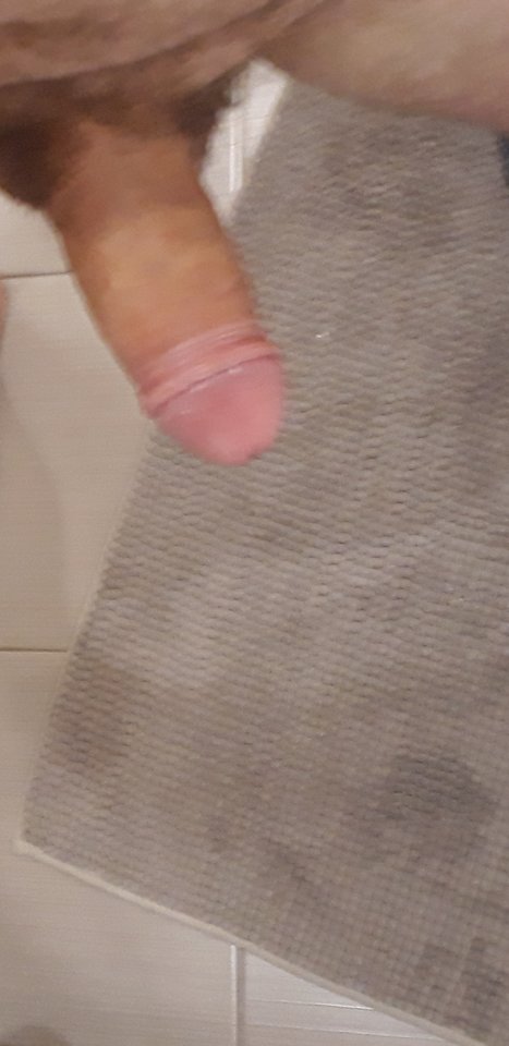 20181113_121413.jpg - Veget