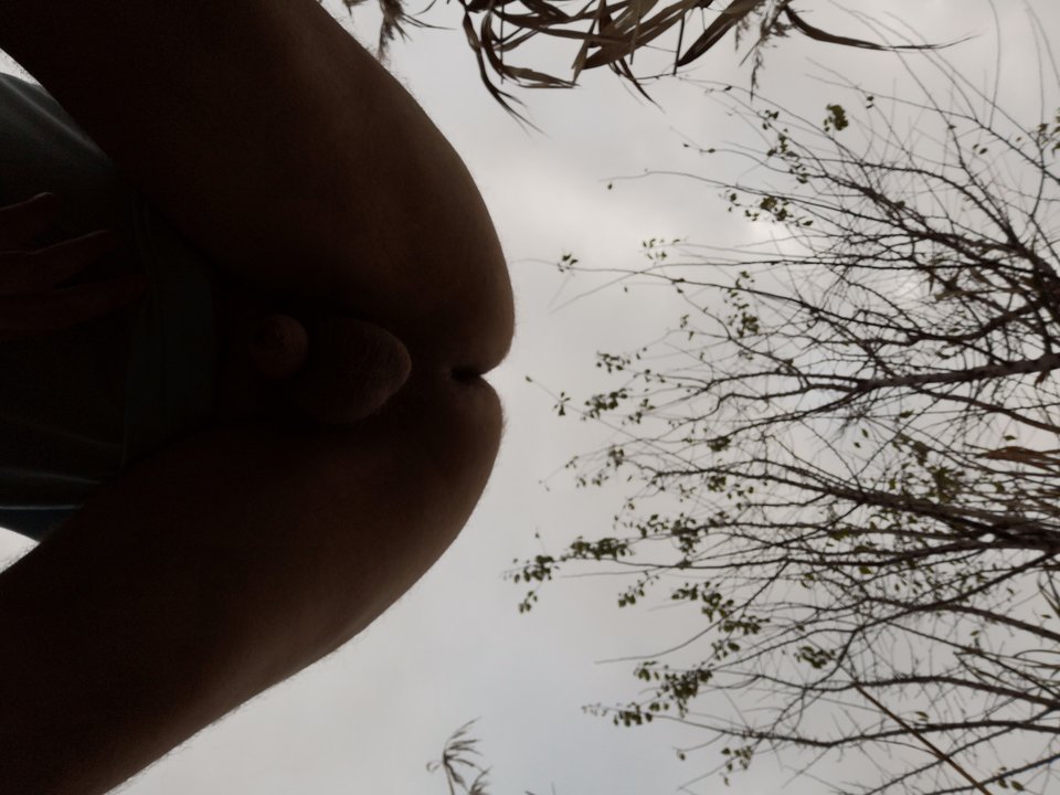 IMG_20181114_104502.jpg - yahet_11991