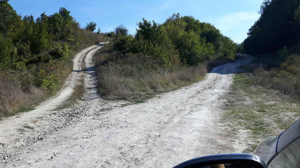 Weekend na grzyby????? - Niunia109