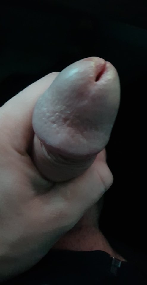 44382248_296553320964101_5844553494526164992_n.jpg - Zminimalizowany