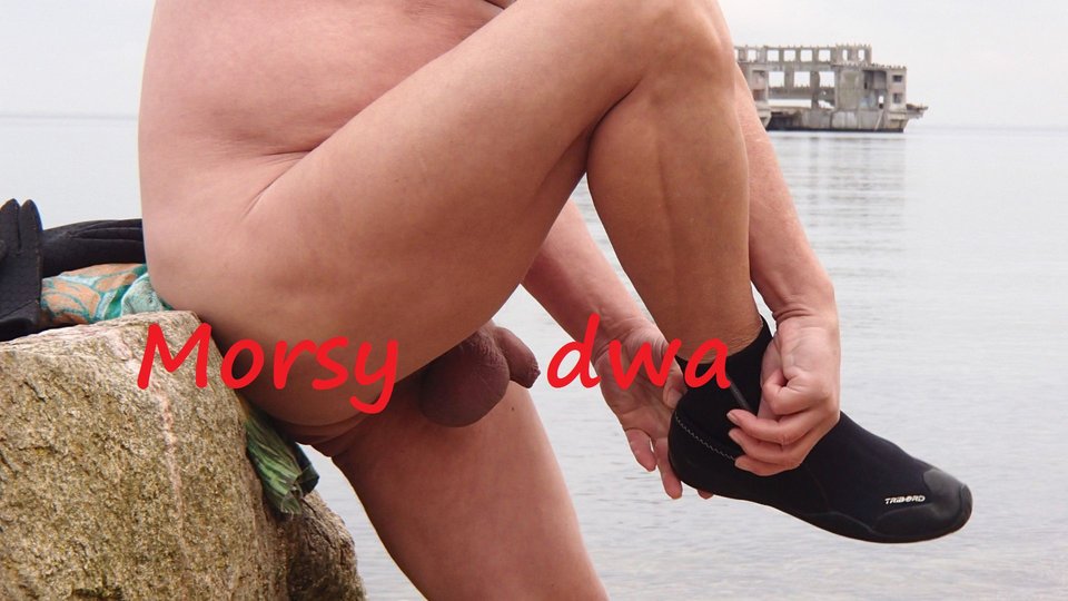 Babie Doły 15 XI 2018 - Morsy_dwa