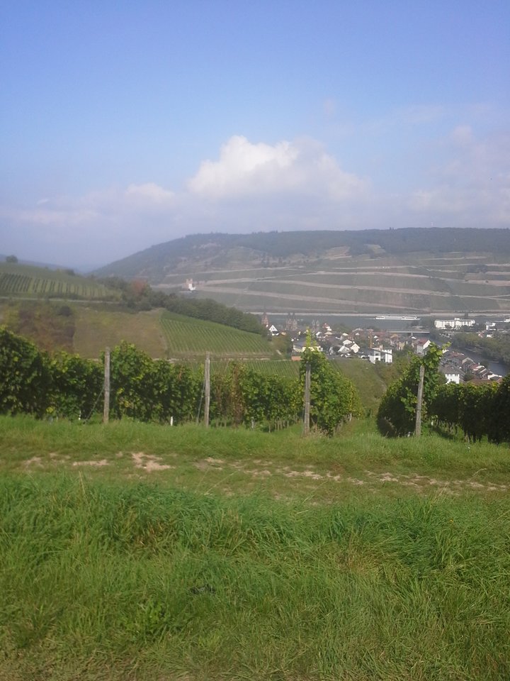 20170923_123544.jpg - Jura75