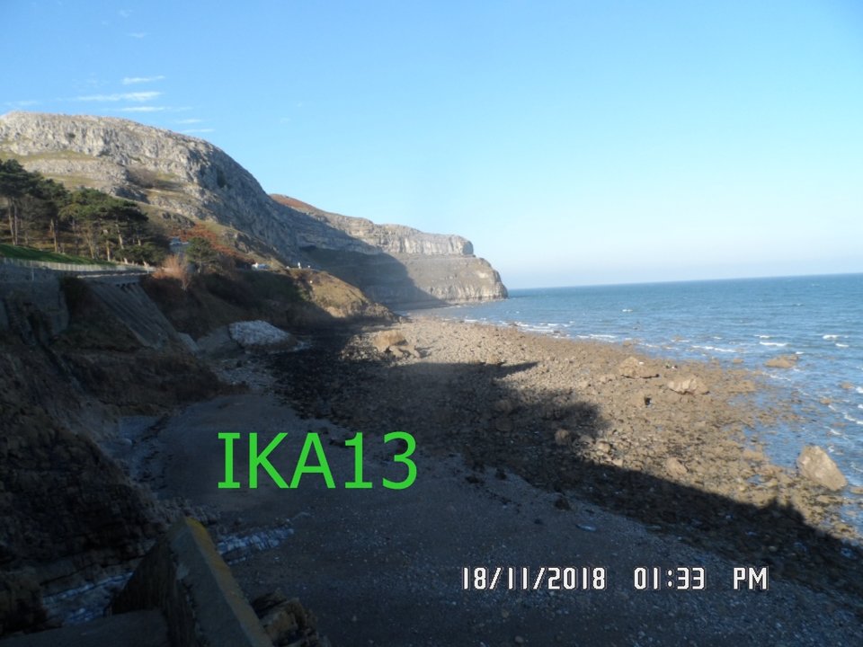 SAM_1708.JPG - ika13