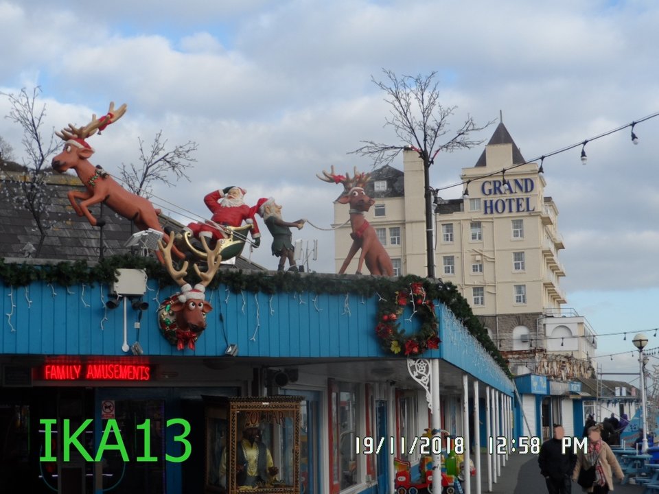 SAM_1736.JPG - ika13