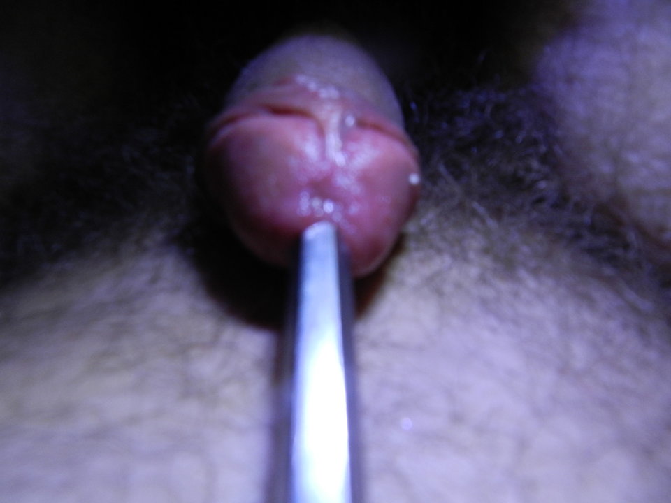 DSCN1408.JPG - janekoko4