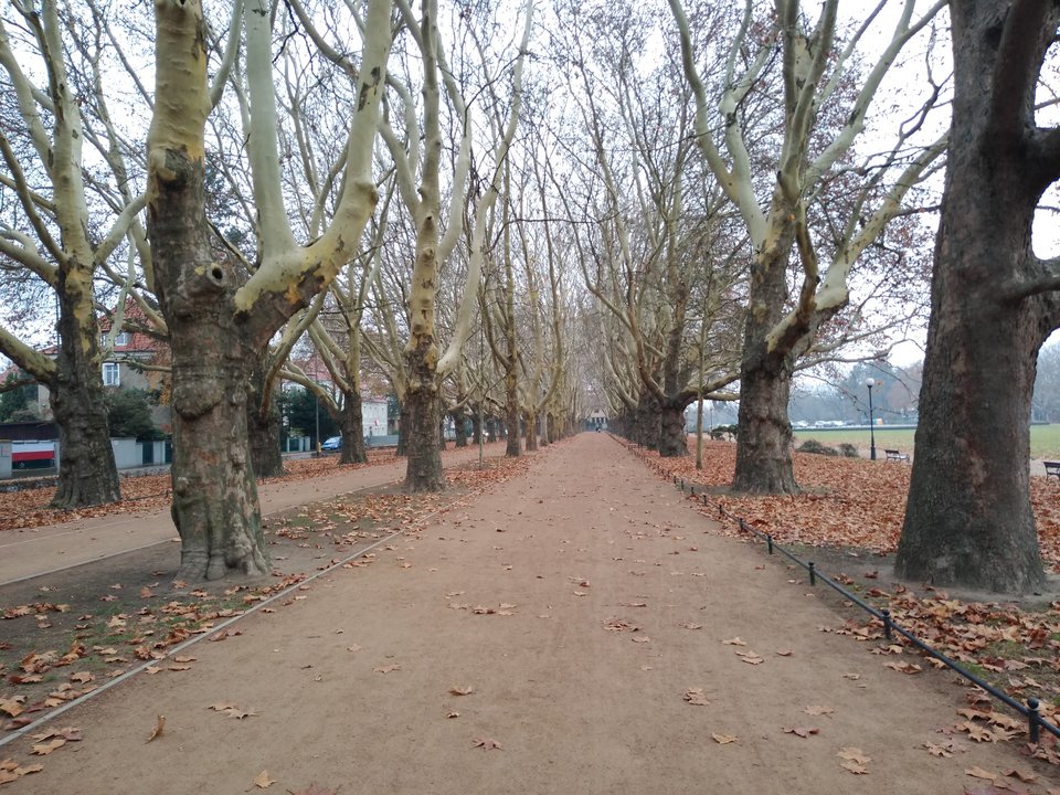 IMG_20181118_101927740.jpg - kostek1234