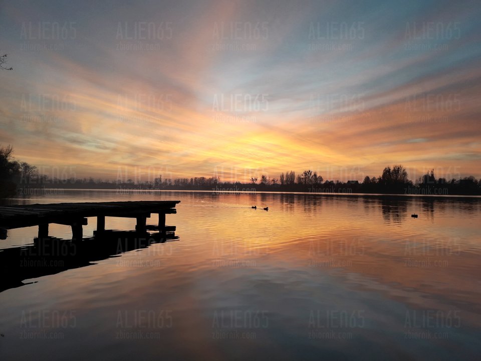 20181118_085358.jpg - Alien65