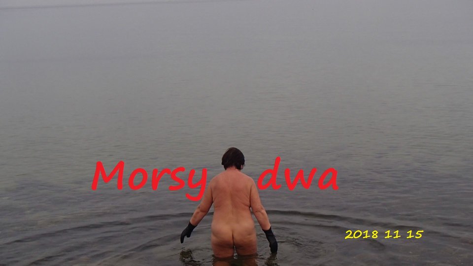 Babie Doły 15 XI 2018 - Morsy_dwa