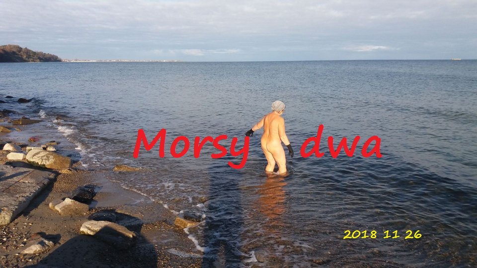 Babie Doły 26 XI 2018 - Morsy_dwa