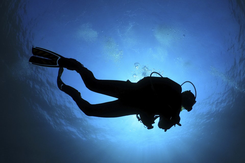 scuba-diver.jpg - midlander76