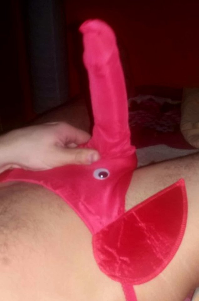 Ktoś uciekł z zoo - Maciejx69
