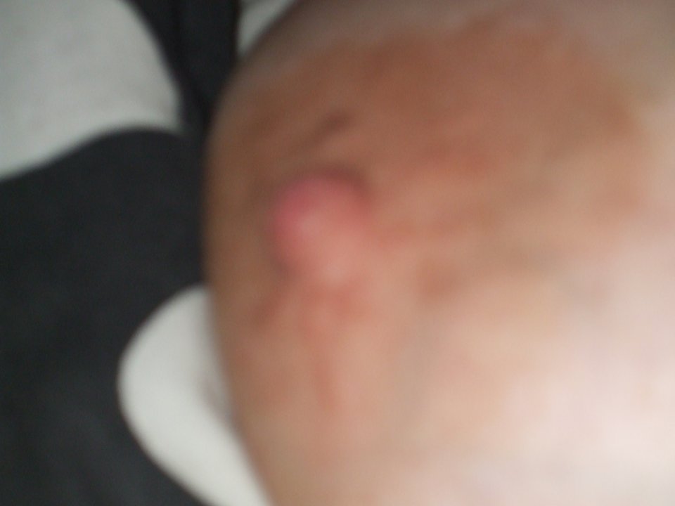 DSCF1430.jpg - nowaparka77